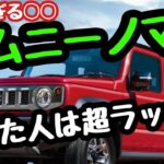 ジムニーノマドが高額で中古車市場に増え続けている現状…再販はいつになるのか