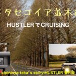 メタセコイア並木道 HUSTLERでCRUISING  ビルドインタイプのETCやっぱいいね✨