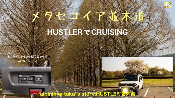 メタセコイア並木道 HUSTLERでCRUISING  ビルドインタイプのETCやっぱいいね✨