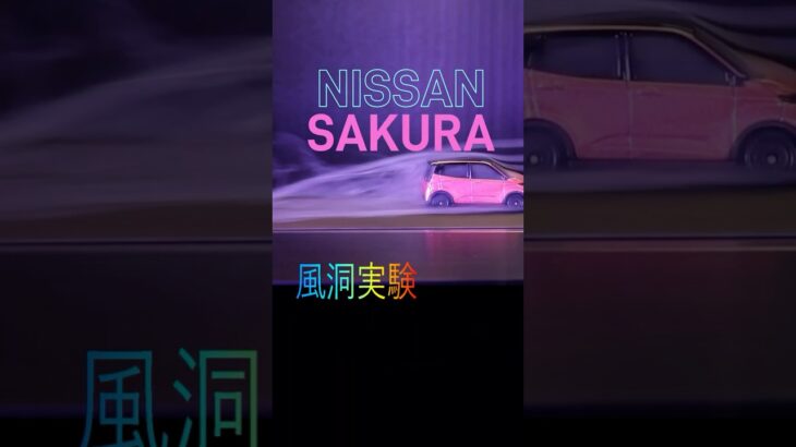 サクラの風の流れ視覚化する #shorts #サクラ #風洞実験