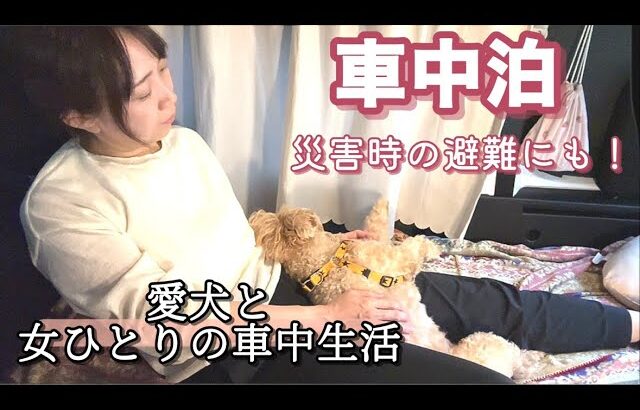 【車中泊女子の災害対策】ペットと避難に備える車中泊。大切な家族を普段から慣れさせておこう〜名水を汲みに行く。