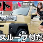 【知ってた？軽自動車で唯一､〇〇付き！!】ダイハツ タフトの内装外装を詳しく紹介！実はかなり凄い軽SUV！！【DAIHATSU TAFT 】