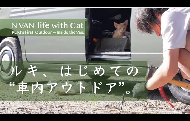 猫とN-VANで車中キャンプ。ルキの初アウトドア記録。Cat Camping in the Van｜RUKI’s First Camp Experience