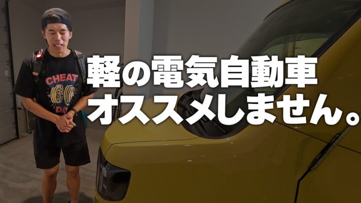 軽の電気自動車おすすめしません。 【N-VAN 半年レポ】