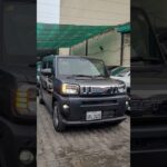Can Daihatsu Taft G Dark Chrome Venture HANDLE Tough Off Road Terrain?