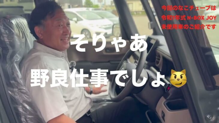 【中古車紹介】ふらっとテラスがイイネ👍N-BOX JOY未使用車