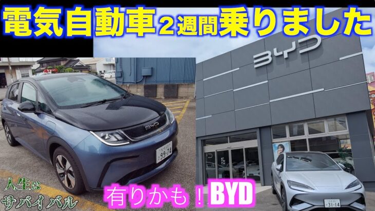 人生初のEVに2週間、乗っていろんな場所に出かけてみました。BYD Dolphinをレポートします