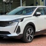 2025 Peugeot 4008 – Visual Review of the Car