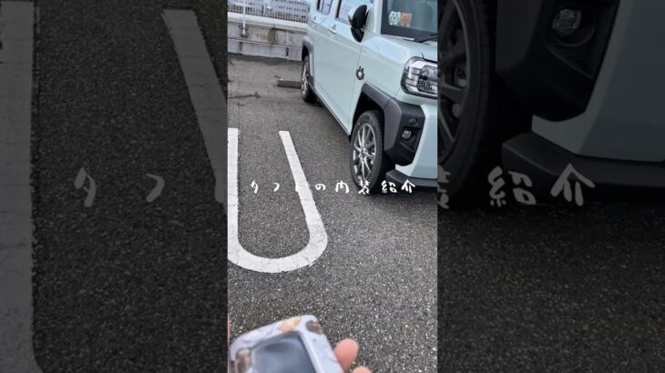 🤸‍♂️ ダイハツ タフト 内装レビュー｜徹底紹介🤸‍♂️