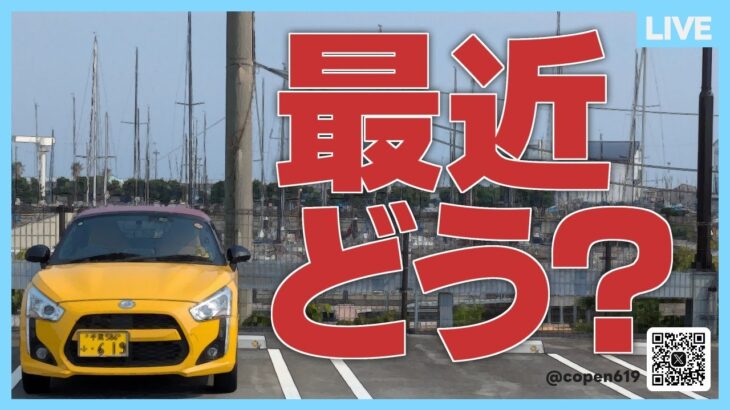 近況報告！定期ライブ配信を休止してから、その後どうなった？
