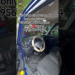 #cebu #minivan #automobile #trendingnow #viral #trendingshorts #trending #cheapcars  #japansurplus