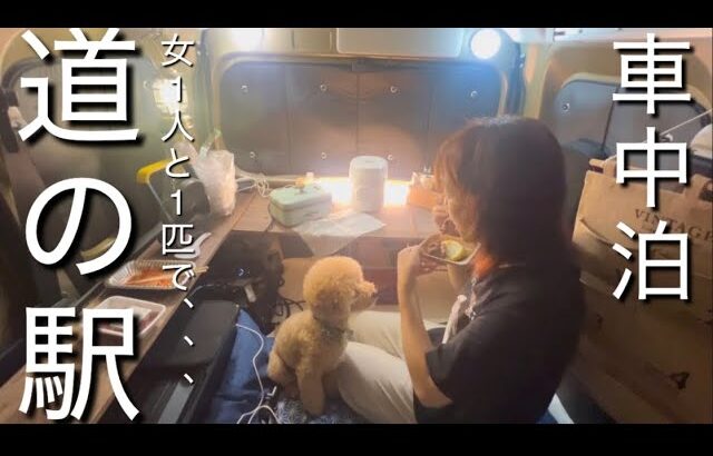 アトレーで愛犬と初めての車中泊【愛知県道の駅巡り】前編‼️