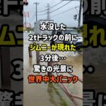 ㊗️100万再生！日本でジムニーが水没した2tトラックの前に現れた3分後…驚きの光景に世界中大パニック