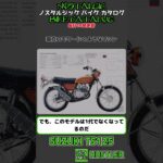 1分間解説 SUZUKI HUSTLER / TS125