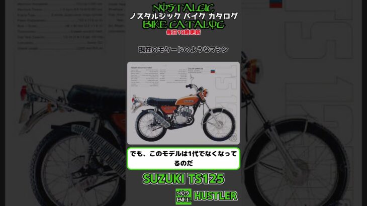1分間解説 SUZUKI HUSTLER / TS125
