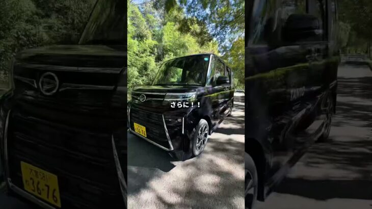 DAIHATSUタントを独り占め✨ #daihatsu #軽自動車 #ダイハツ #タントカスタム