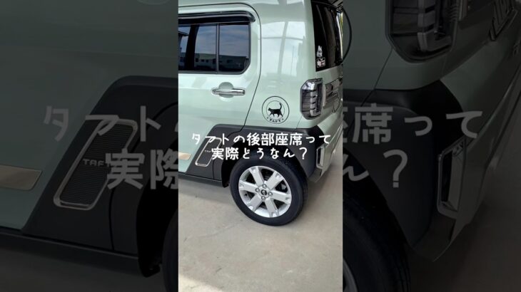 🤔タフトの後部座席って狭い？🤔