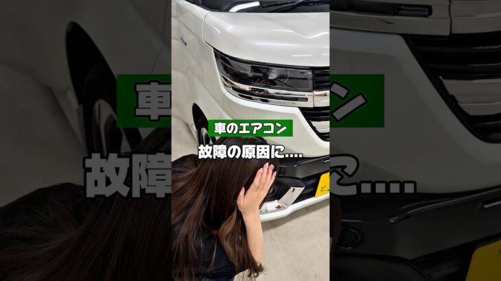 【コレってほんと？】 #カー用品 #車好きと繋がりたい #スペーシア #suzuki #スペーシアカスタム #スペーシアx #裏技