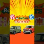 【未使用車】所沢新座・狭山ヶ丘・川越・つくばで即納89万円からの人気の軽自動車が多数！≪ナビorディスプレイAudio無料≫