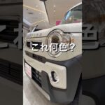 #スズキ　#ハスラーのこの色わかる？
