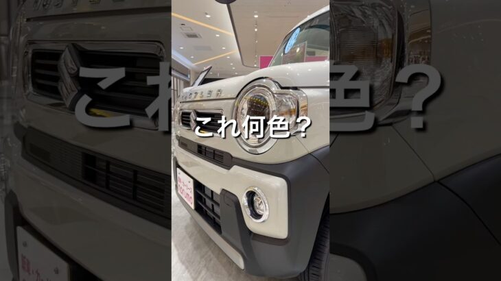 #スズキ　#ハスラーのこの色わかる？