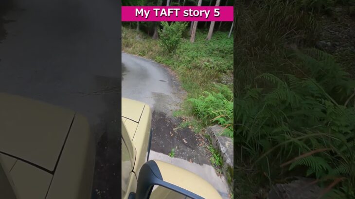【秘密基地から生存報告】【TAFT】【タフト】マイタフトでいつものドライブ動画(赤西渓谷入口)