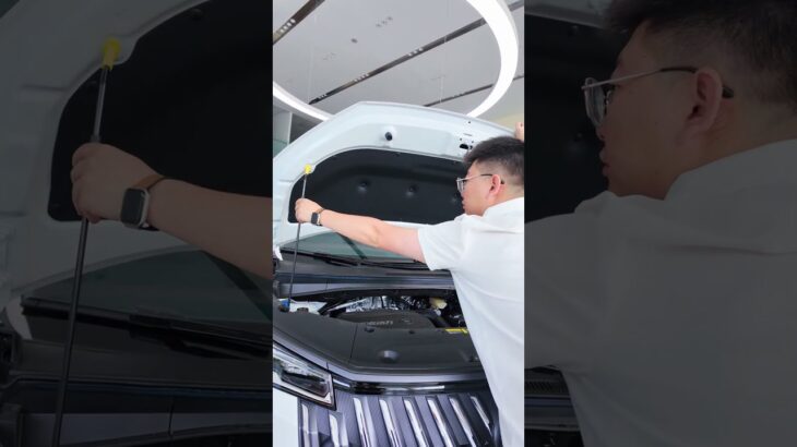 All New 2025 GAC Trumpchi M8 MPV