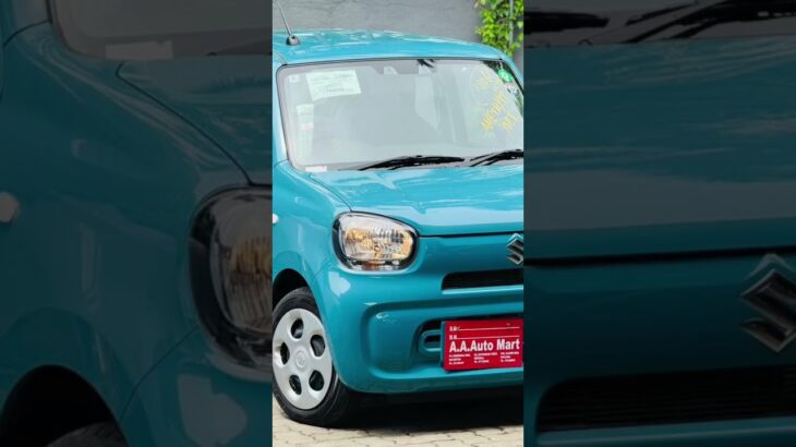Suzuki alto 2024 sale