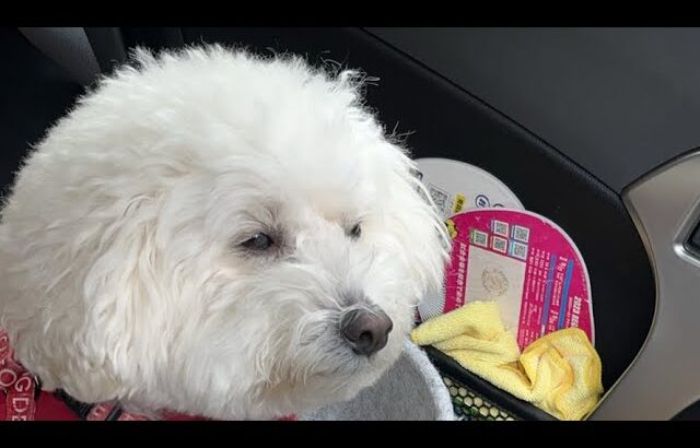 10/16 寒いけどオープン コペン通勤