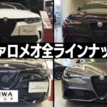 【現行紹介】アルファロメオ全ラインナップ　浜松ショールーム　現行販売車種紹介　今アルファはどんな新車があるの？