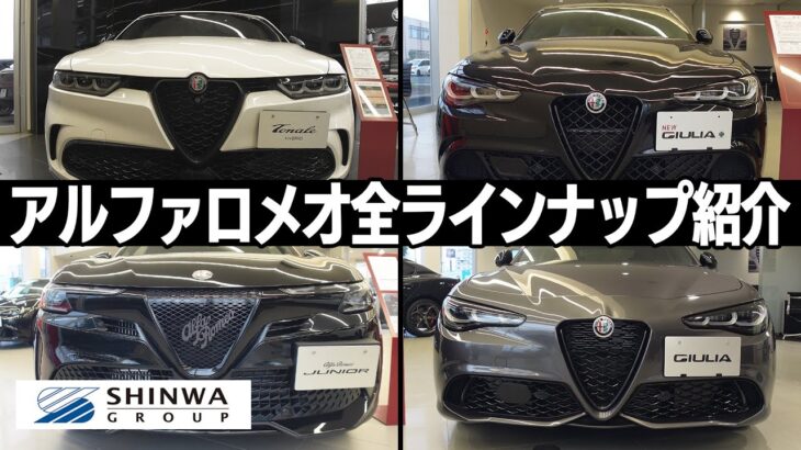 【現行紹介】アルファロメオ全ラインナップ　浜松ショールーム　現行販売車種紹介　今アルファはどんな新車があるの？
