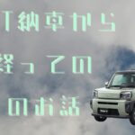 TAFT納車から1年経っての諸々のお話 #タフト #TAFT