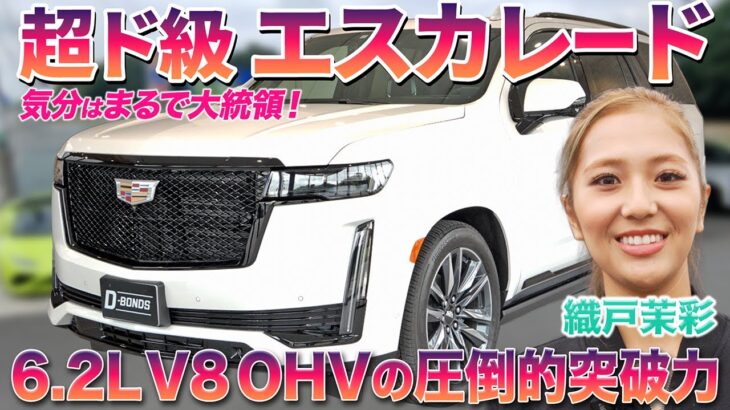【アメ車の横綱】プレジデントオブSUV・エスカレードの特別仕様車を織戸茉彩が徹底チェック #中古車  #キャデラック   #suv   #おすすめ #レビュー