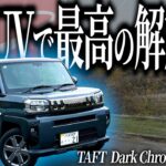 軽唯一のサンルーフ搭載車タフトでビーナスラインドライブしたら解放感が思うてる5倍あったわ【一人称でわかるタフト ダーククロムベンチャー】