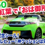 【絶景紅葉】S660で「おは御所」へ！軽オープンの最高に気持ちいい道中