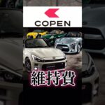 コペン年間維持費　 #車好き #車好きと繋がりたい ＃ダイハツ　＃コペン　＃GRコペン　
