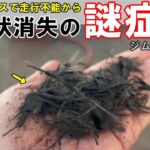 【注意喚起】操作ミスで走行不能に陥ったジムニー　なぜか症状が消えて走行可能になるという謎症状に遭遇