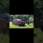 #alfaromeo #junior #アルファロメオ #今井優杏 #automobile #試乗