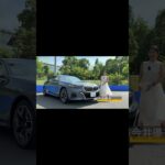 #BMW #5シリーズ #525Li  #今井優杏 #automobile #試乗