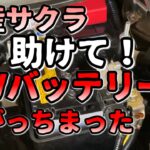 助けて！サクラの12Vバッテリーあがり鉄クズにった件【日産サクラ】