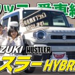 【ハスラー HYBRID X】アクセサリーが可愛すぎる！レディバグスタッフの愛車紹介！○○も載っちゃうんです！【SUZUKI】