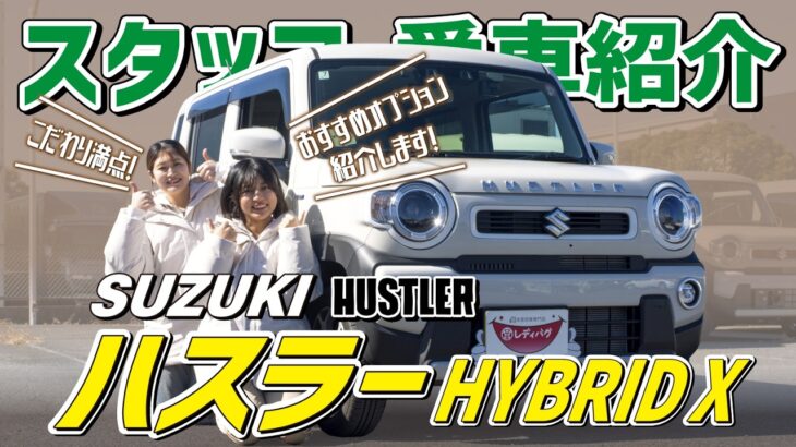 【ハスラー HYBRID X】アクセサリーが可愛すぎる！レディバグスタッフの愛車紹介！○○も載っちゃうんです！【SUZUKI】