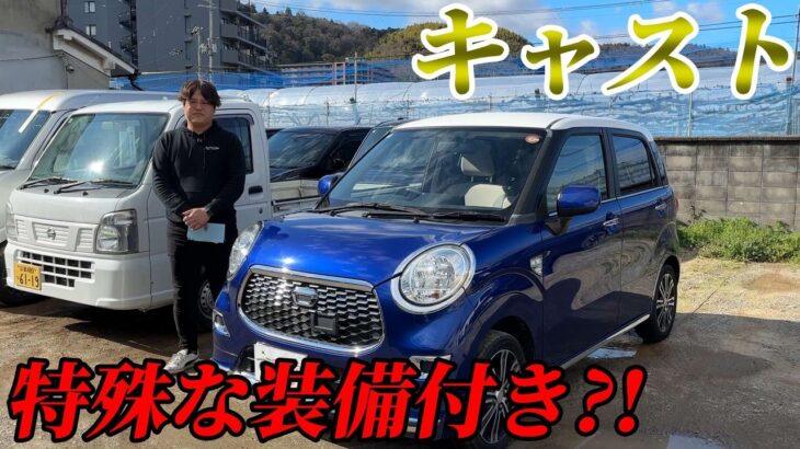 【キャスト】ウィンドシールドディアイサーってなんなん？