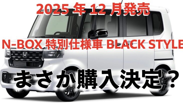 新型N-BOXカスタムターボ特別仕様車ブラックスタイル最終見積もり！ついに購入決定？
