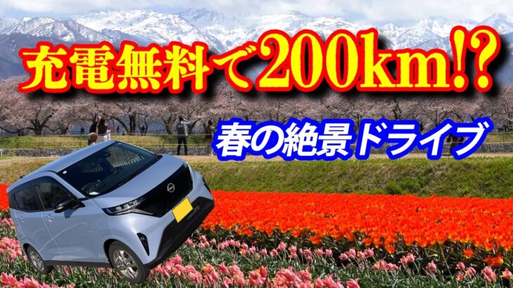 【2026年版】日産サクラで富山200kmドライブ！無料充電だけで行く「あさひ舟川 春の四重奏」が絶景すぎた