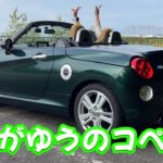 【愛車紹介】コペンを買って後悔なし！！