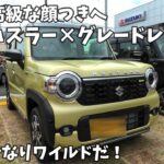 【新型ハスラー】値上げ最小限でこのアップグレード内容は買いだ！