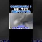 手抜きすぎる⁉️日産サクラの内装がヤバすぎた… 　#日産  #サクラ  #shorts