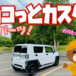 お久しぶりねの、タフトさんをチョコっとカスタム！