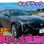 キャデラック CT5 【レビュー&試乗】フロントフェイス一新で迫力のスタイルに!! アメ車らしさ濃厚な走りを持つセダン!! E-CarLife with 五味やすたか
